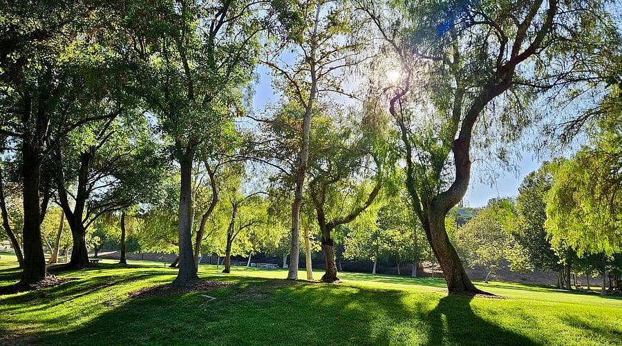 Enjoy scenic flat and hilly walking and hiking trails at Summit Park ideal for outdoor recreation and family fun.