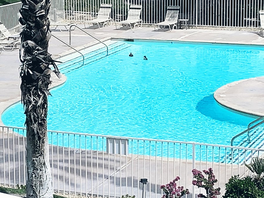 Large Pool within Desert Falls Community.