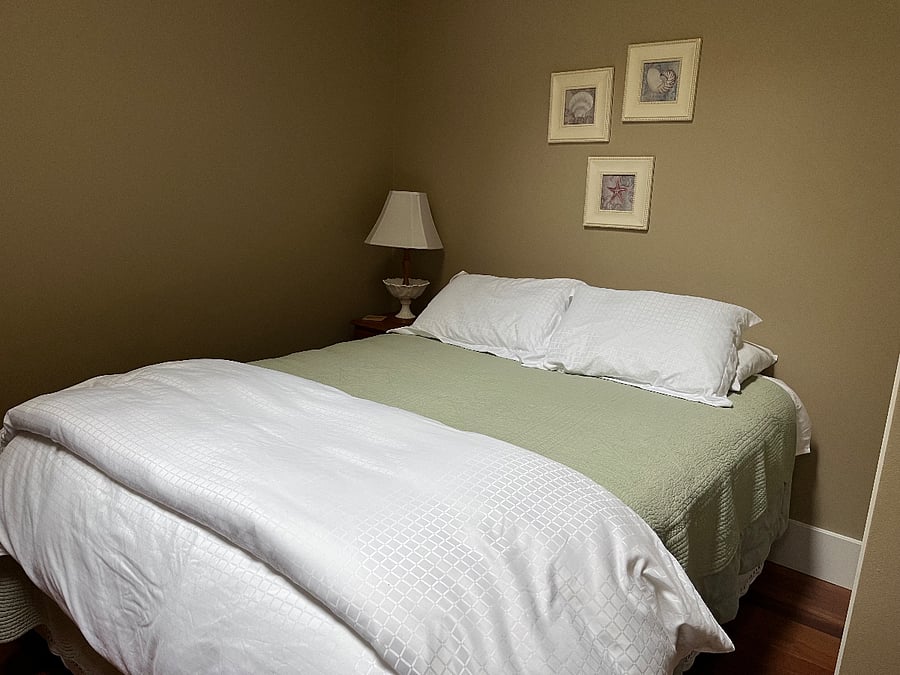 Bedroom 1, queen bed, skylight, small closet, main level