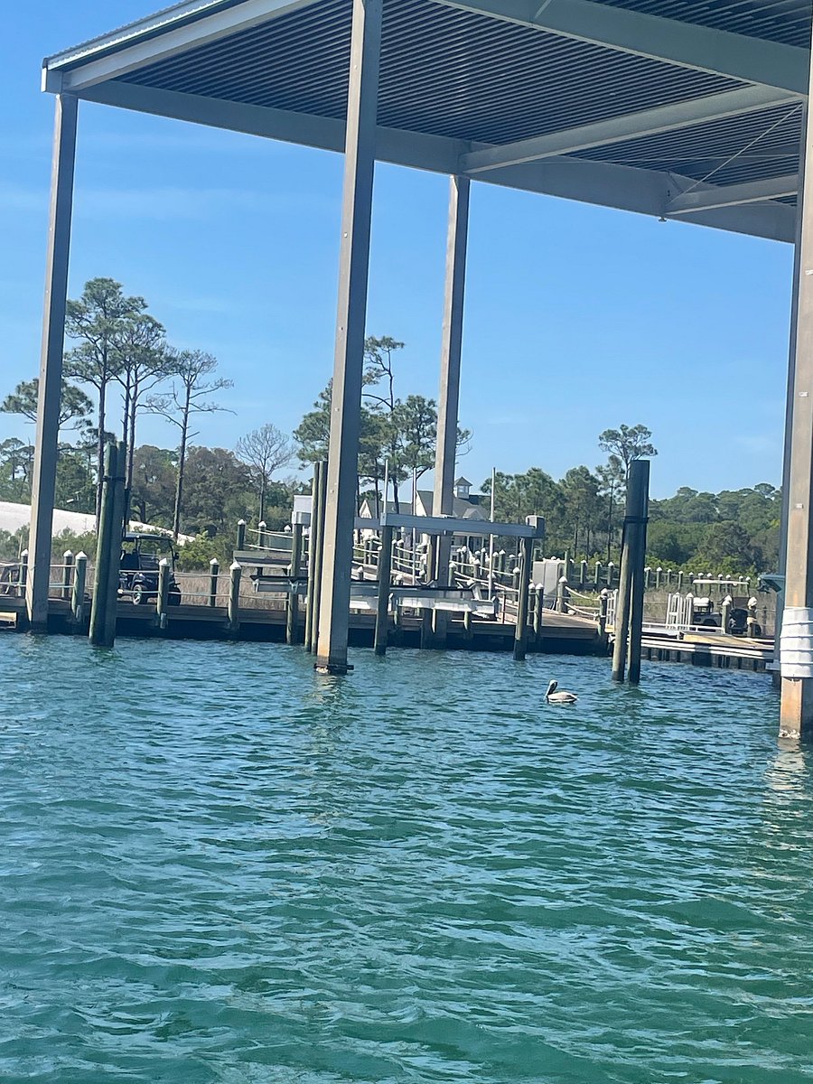 Marina fish cleaning station