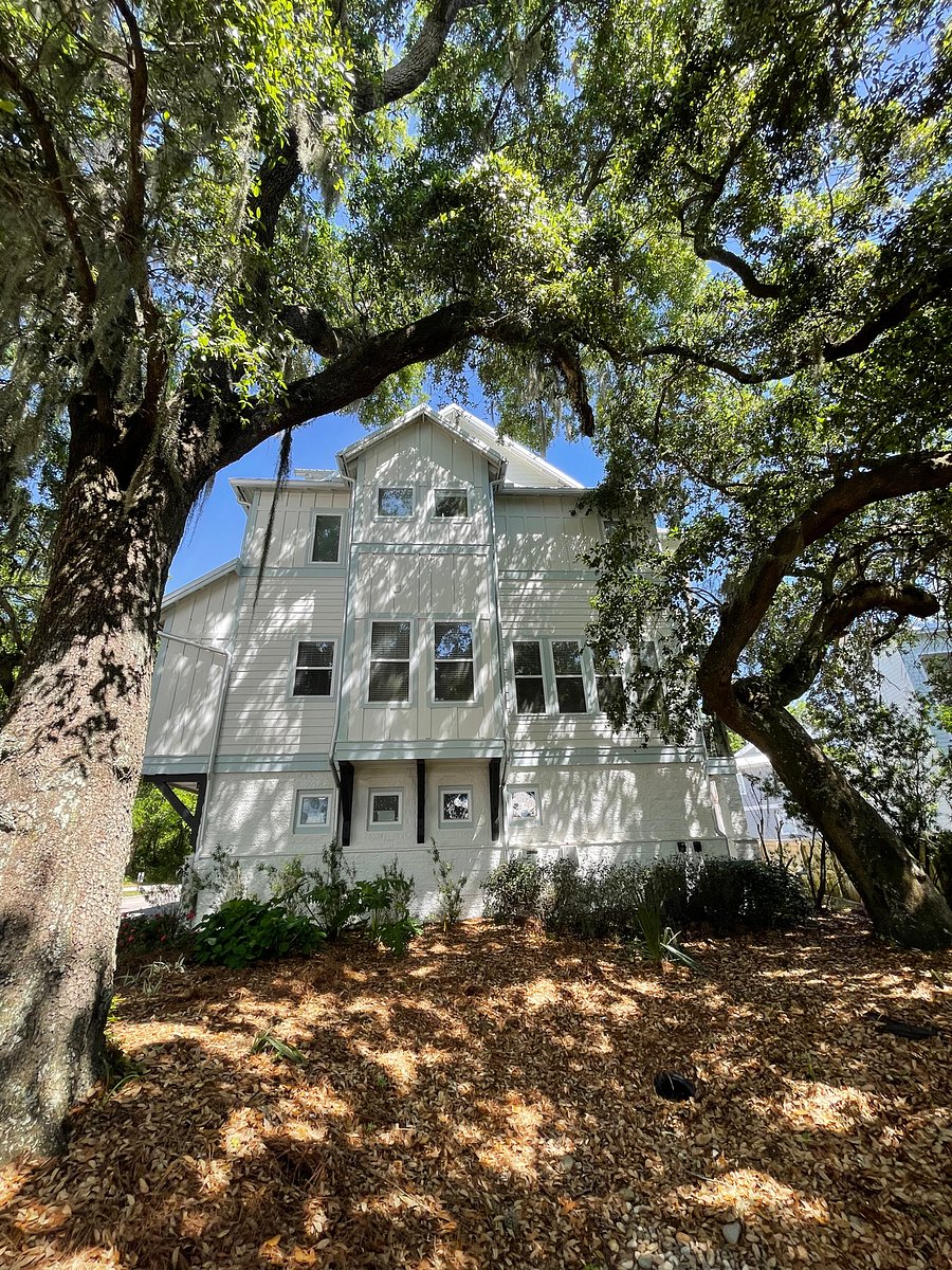 South facing home