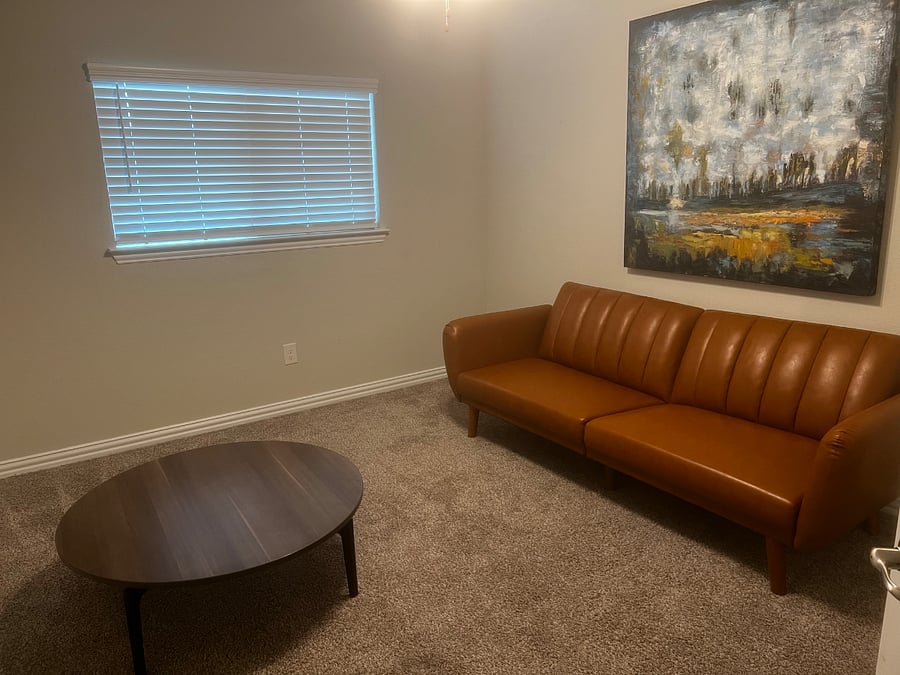 Bedroom with futon couch for relaxing/sleeping.