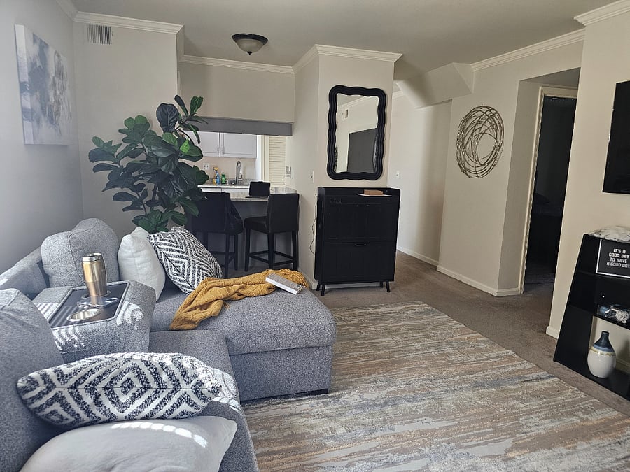 Living room/dining room area