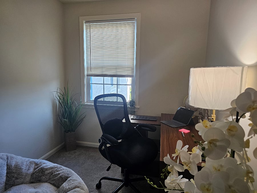 2nd bedroom as an office
