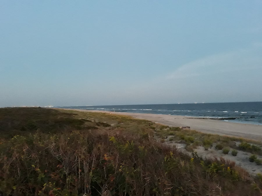 Nearby Beaches (walking/biking distance) :
Cony Is, Brighton B, Manhattan B, Plumb B, Riis Pk, Tilden B