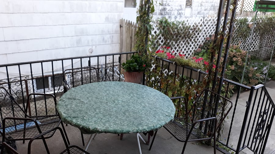 Backyard Dining