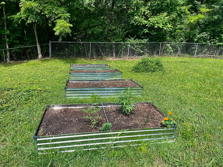 Raised garden beds