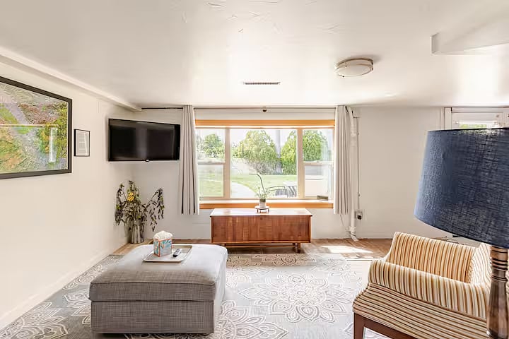 Basement family room