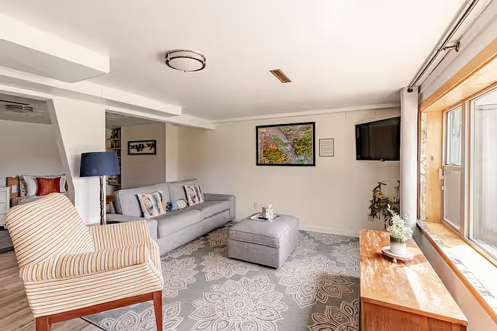 Basement family room