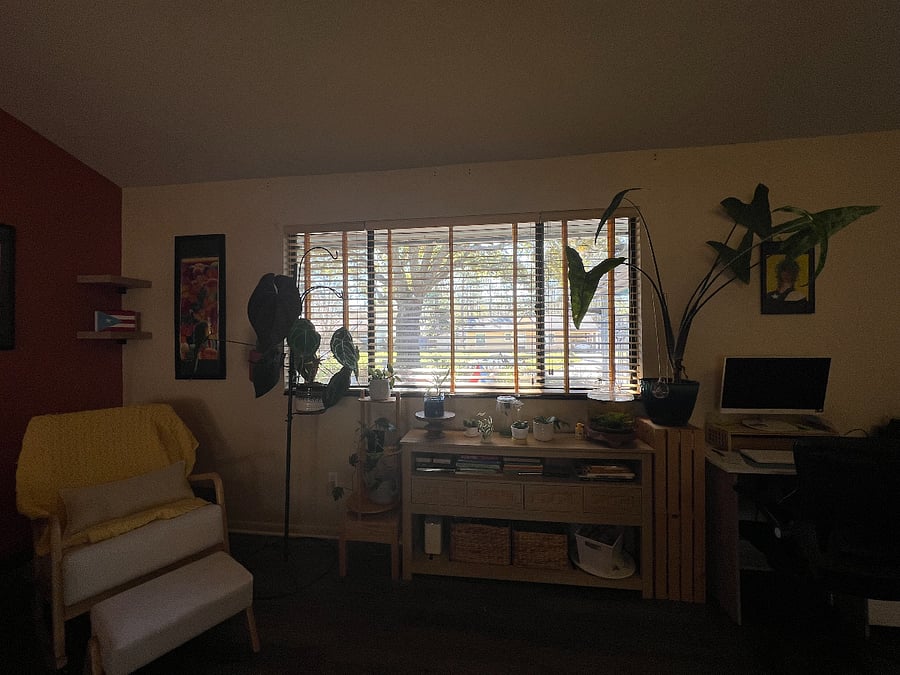 shared living room