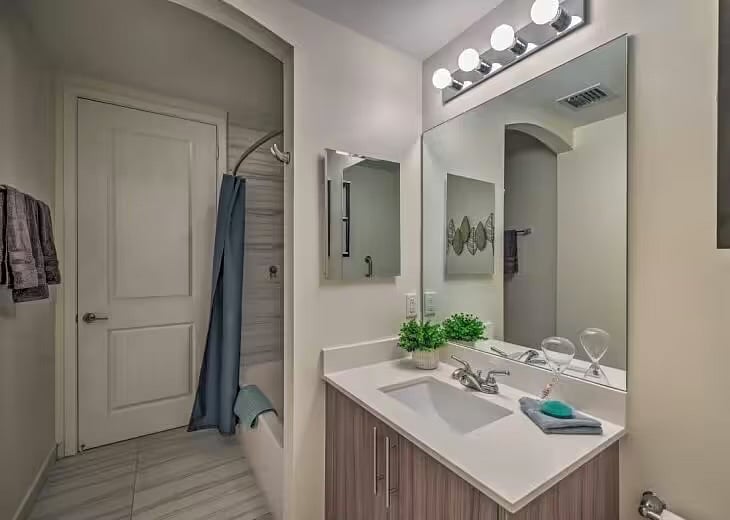 main bath, tub and shower
