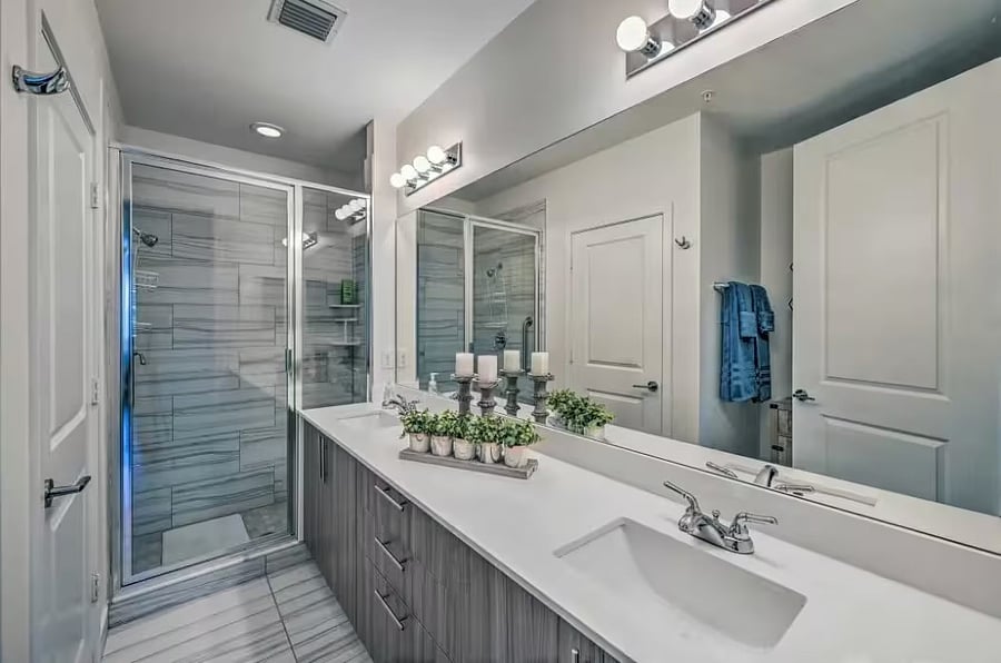Master bath and shower