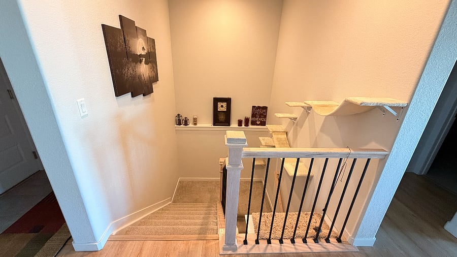 Basement stairs