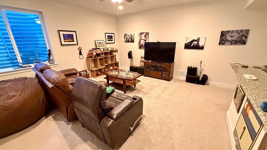 Basement Living Area
