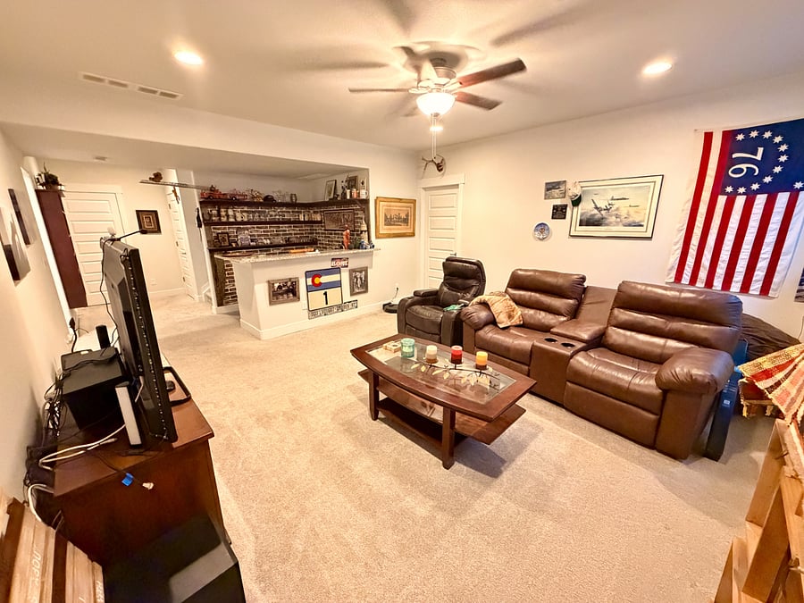 Basement Living Area