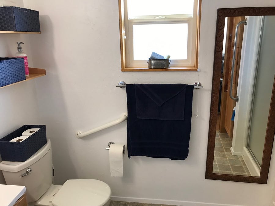 Toilet & Grab Bar