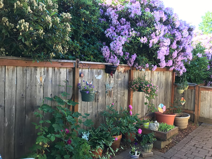 Private Patio
