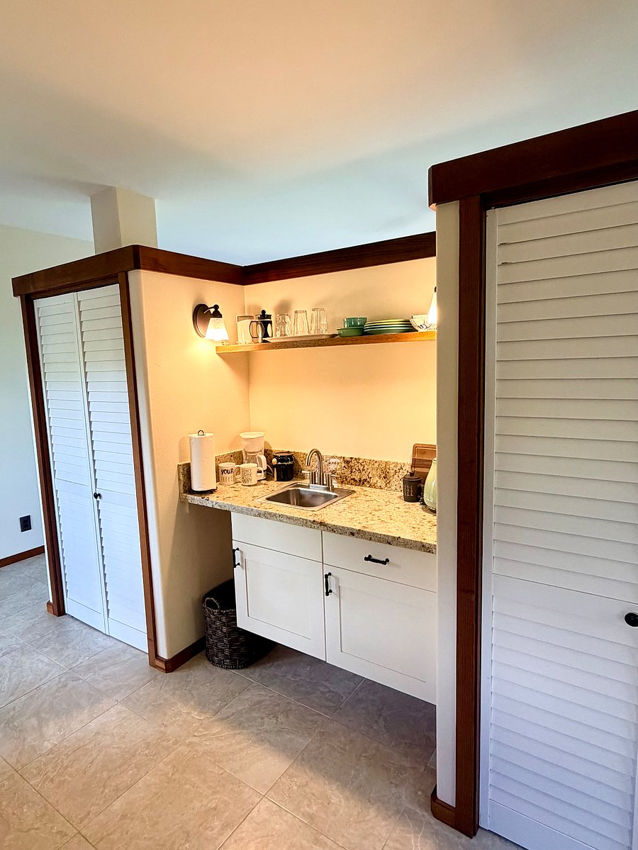 Kitchenette with coffee maker, tea kettle, air fryer, hot plate, microwave and nearly full size refrigerator (in closet)