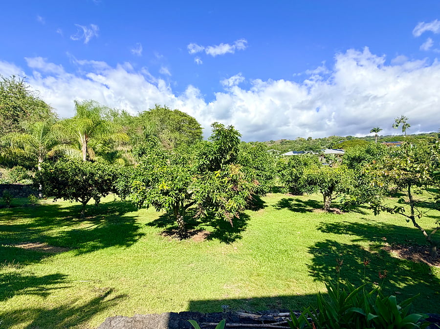 Surrounding coffee and fruit trees on the two acres of this property