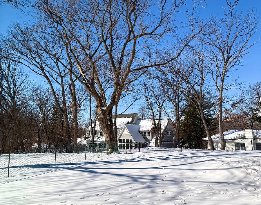 Spacious fenced backyard with mature trees- 1/3 acre lot