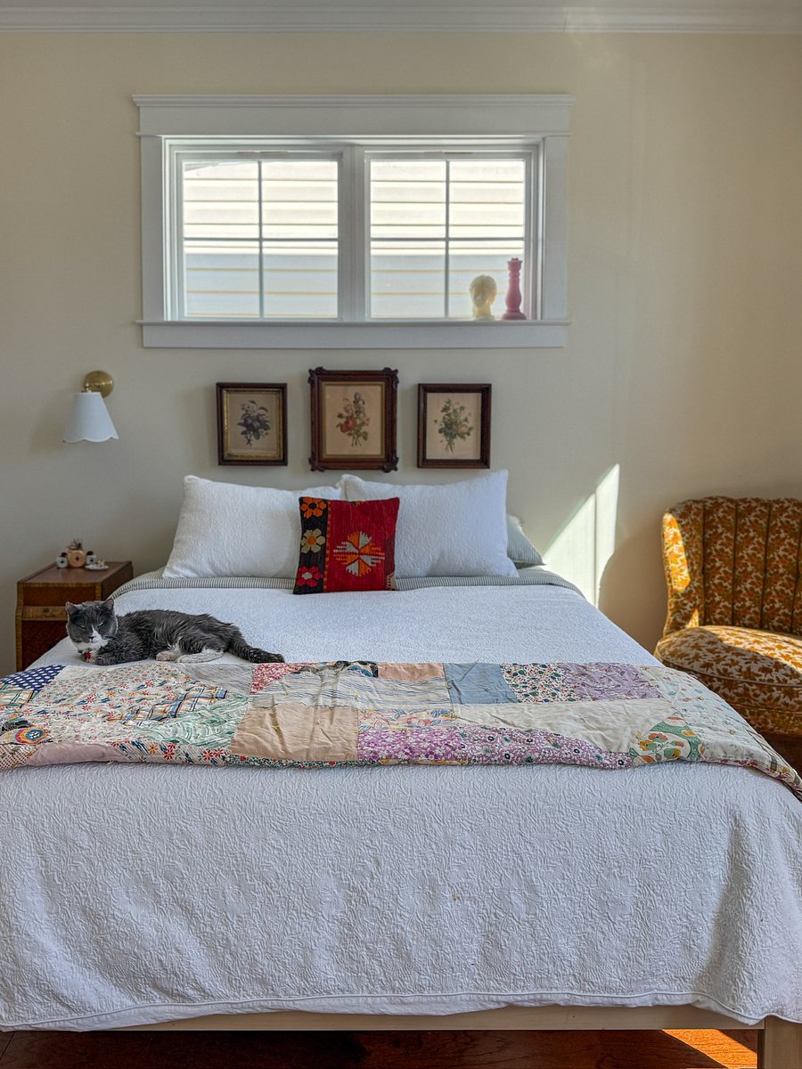 One of our two resident cats, Phoebe. She does not enter the guest bedroom unless invited.