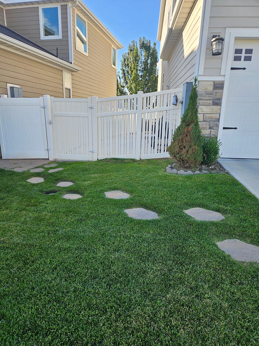 Entrance to Basement Apartment