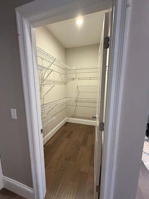 Main room walk-in closet