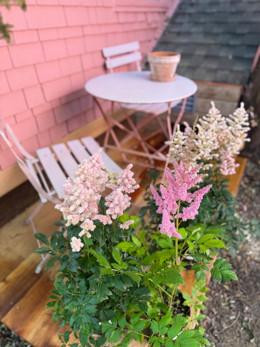 back patio.