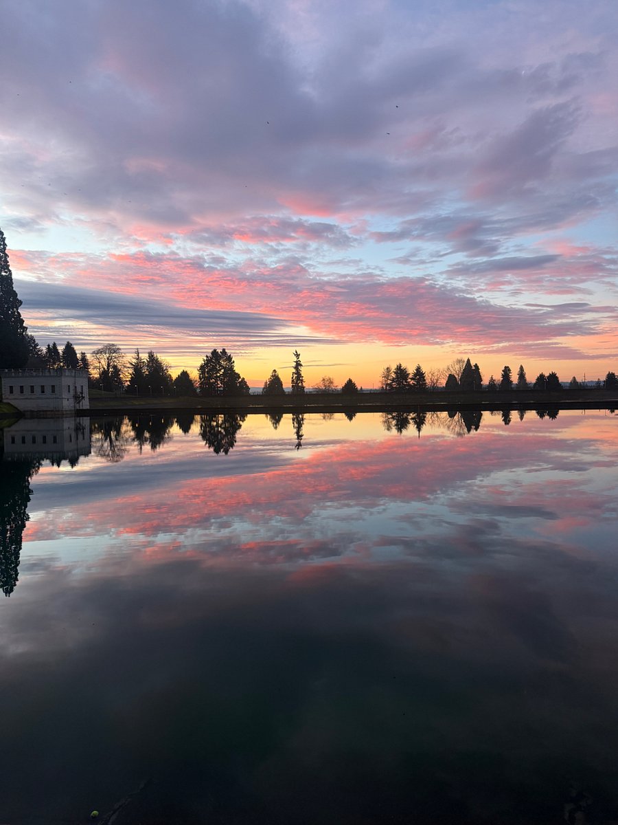take a long walk to mt. tabor park to catch the sunset (or the sunrise!).