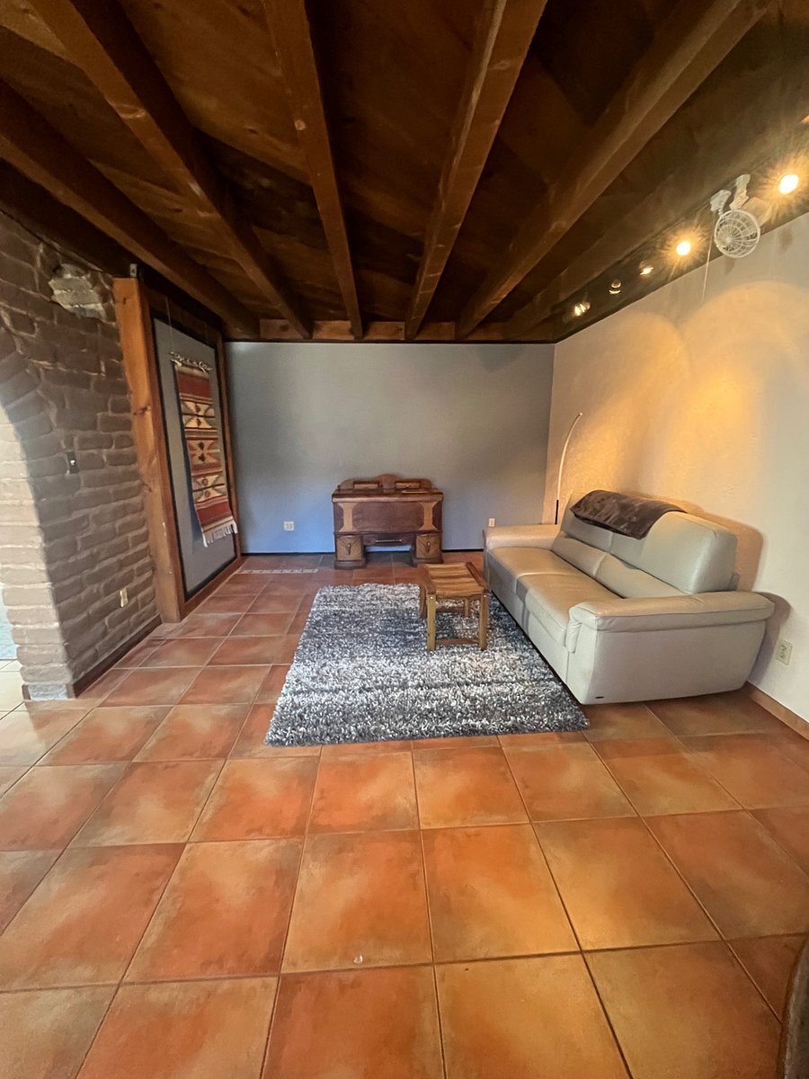 Sitting room with sleeper sofa