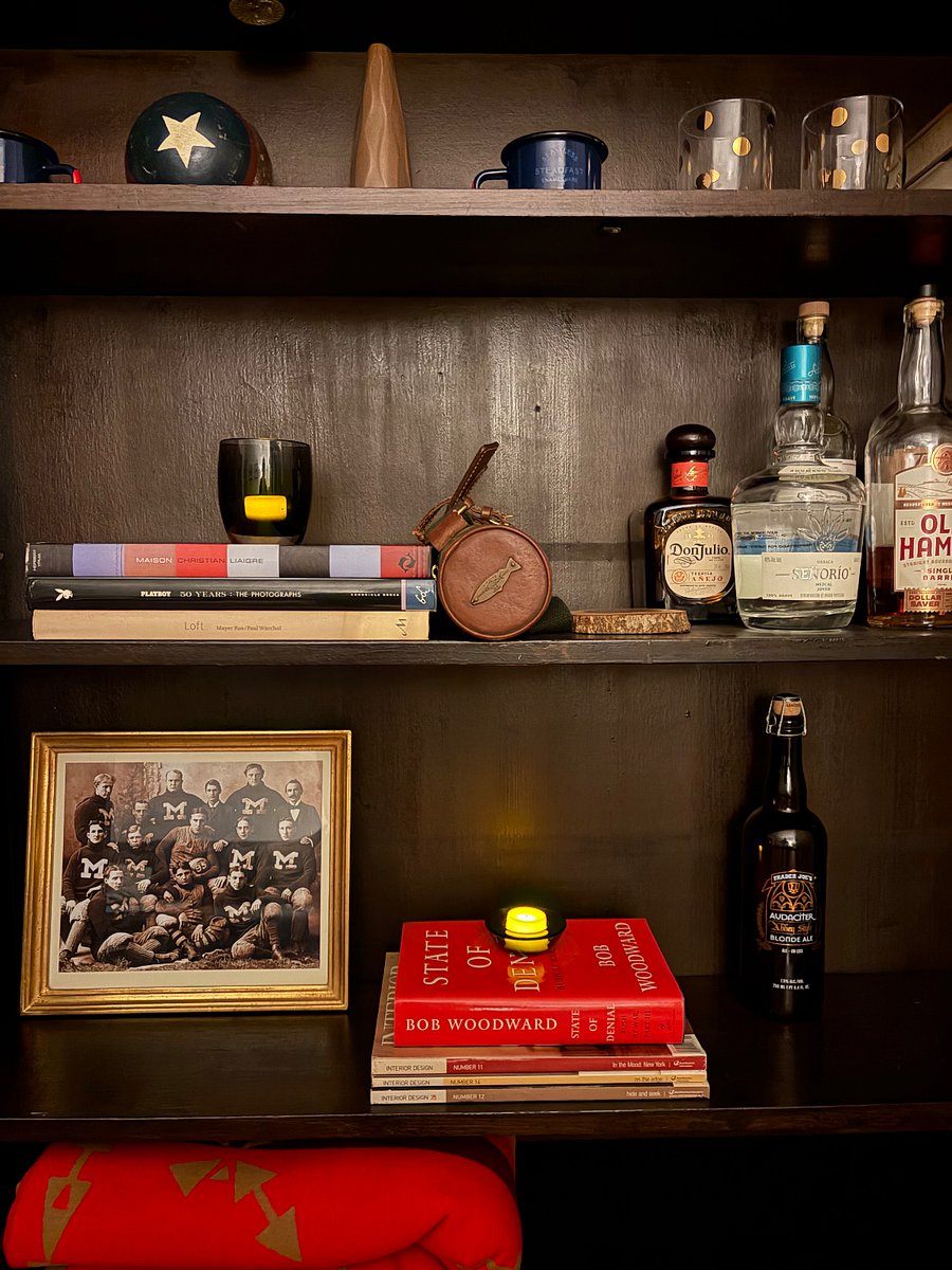 Stylized bar area/built in.
