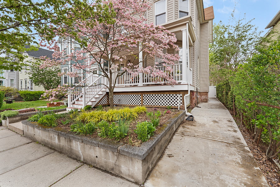 Pink Dogwood Tree w/Japanese Forest Grass, Multi Colors Tulips and Daisies