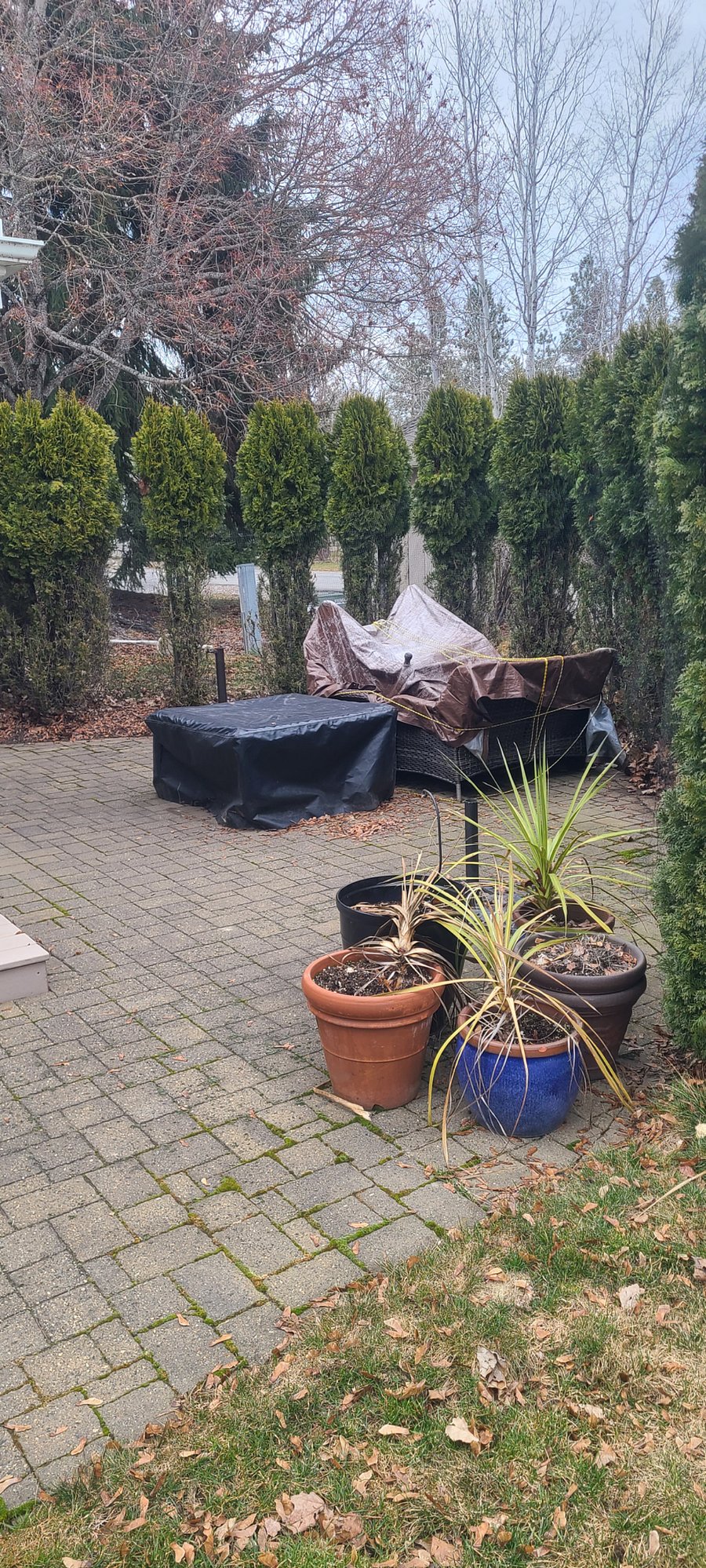 Natural Gas Firepit and Patio Furniture