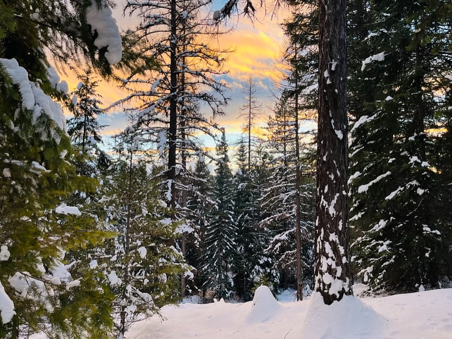 sunset from backyard 