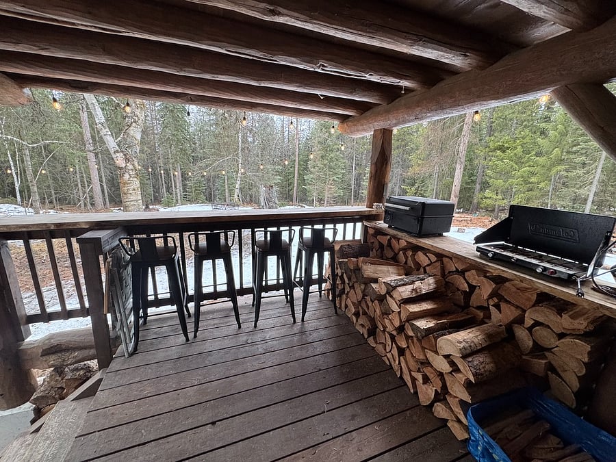 back deck main level