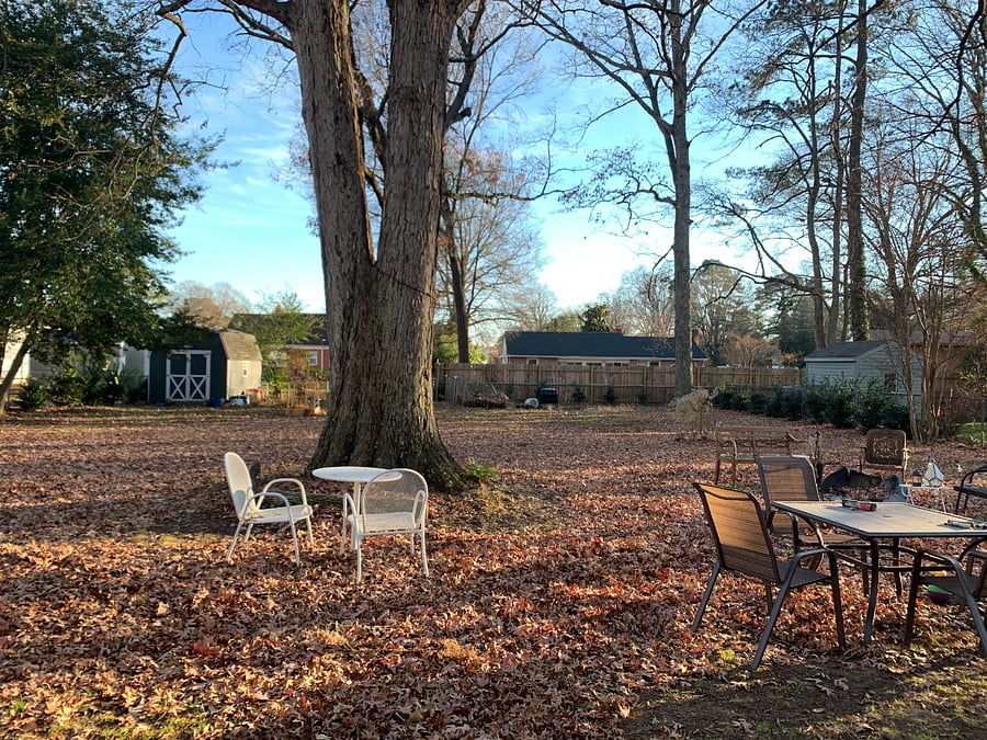 Furnished Finder property 970210_1 photo 11