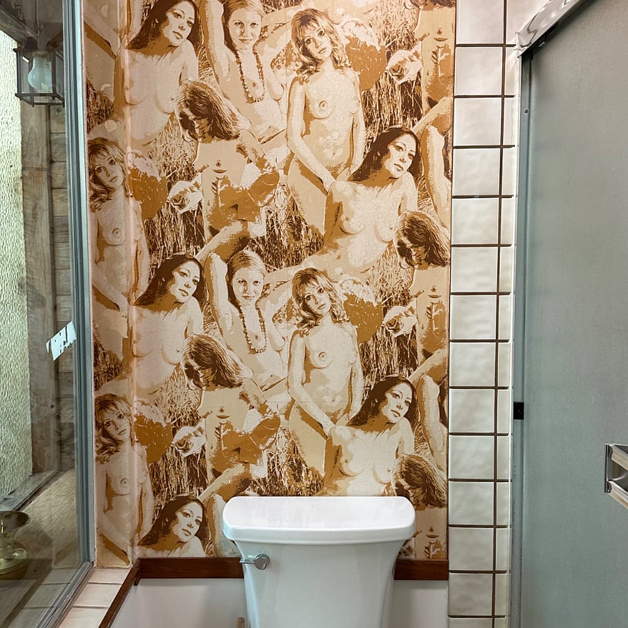 Primary bedroom bathroom vintage wallpaper
