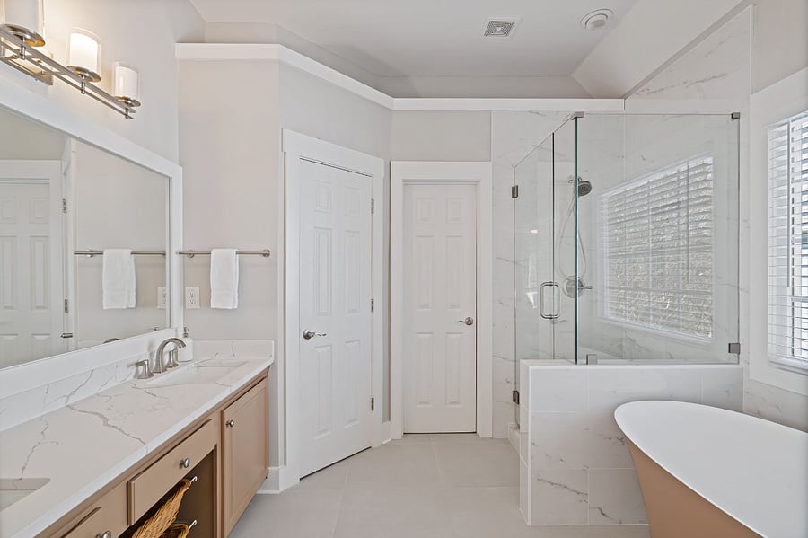 Luxury Master Bathroom