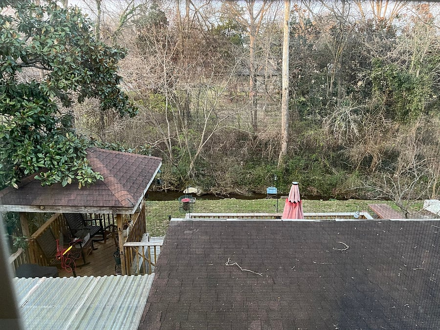 Backyard view
