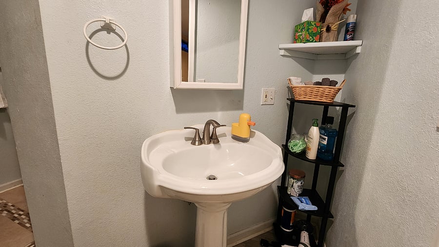 Stocked bathroom with vanity and automatic duck soap dispenser (Quaxly). 