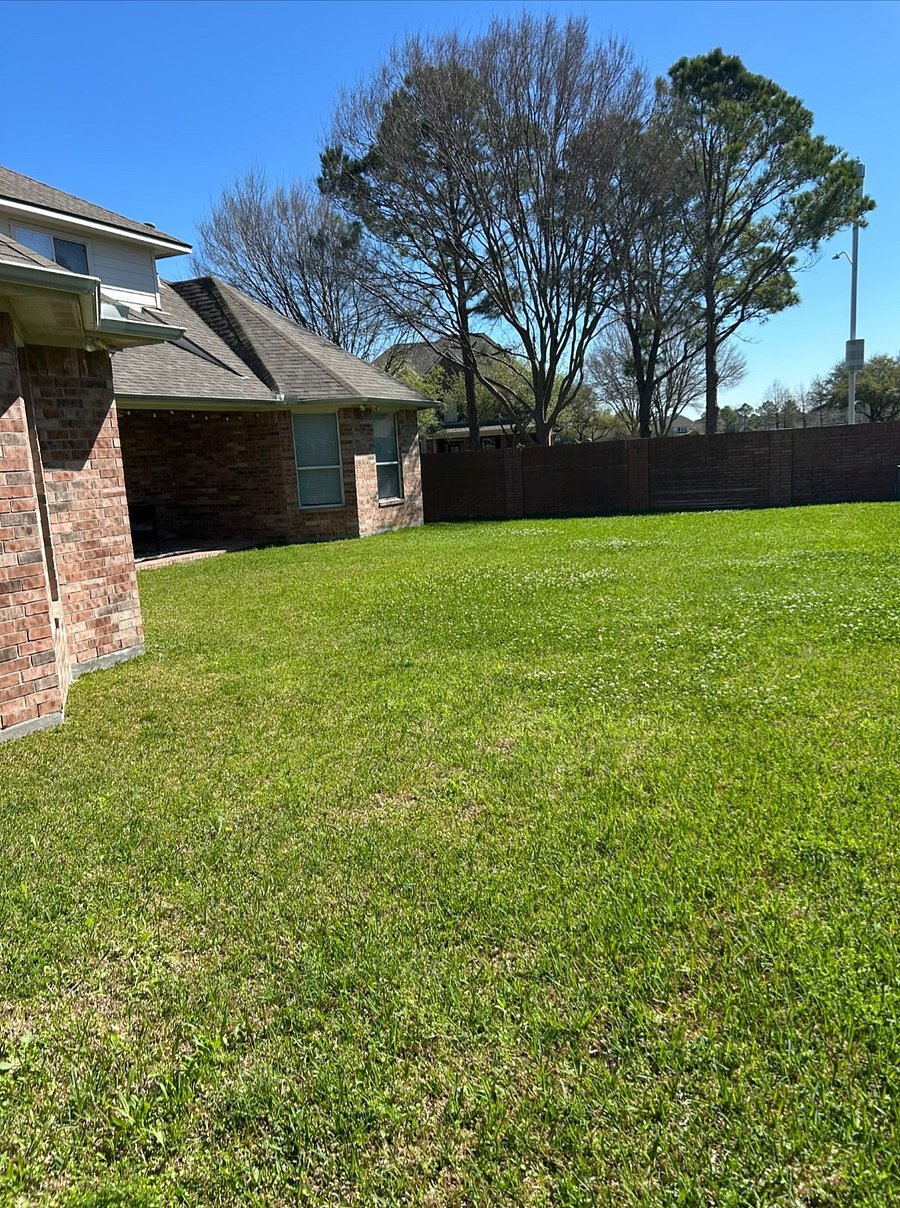 Furnished Finder property 970690_3 photo 11