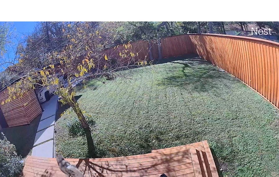 Furnished Finder property 970901_1 photo 22