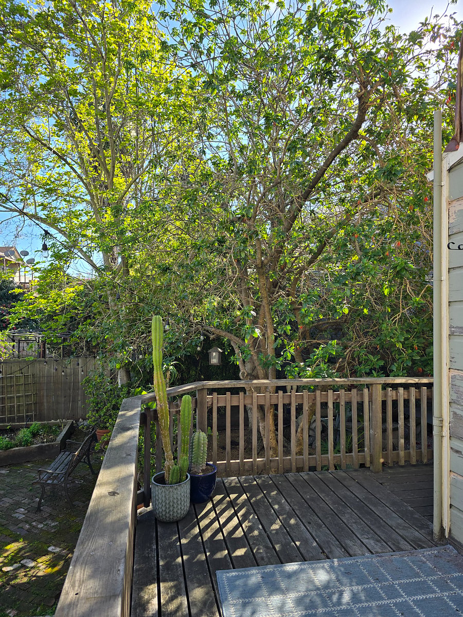 Furnished Finder property 970986_1 photo 10
