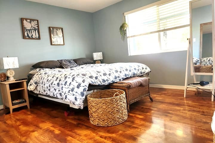 Master bedroom, king bed, smart tv, walk-in closet, full bathroom, there is a door that walks out to the backyard pool area!