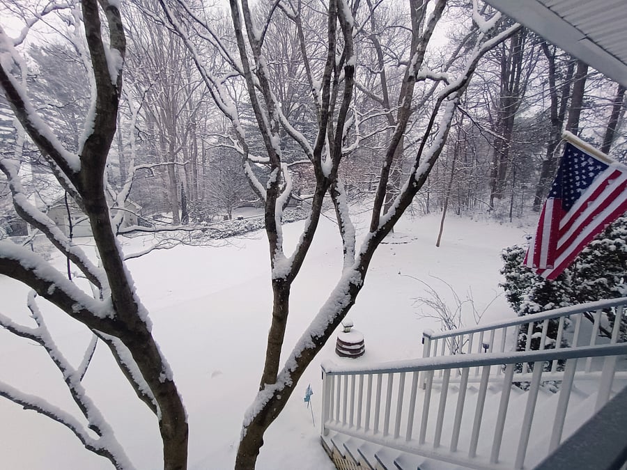 Front yard view after a beautiful snowfall.