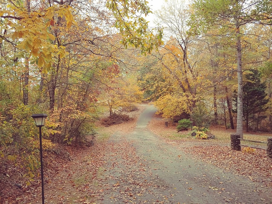 During the fall you will enjoy the stunning foliage, with breathtaking colors all along the road. This is our road during the fall.