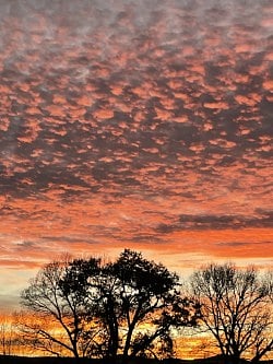 Sunsets -- our specialty!