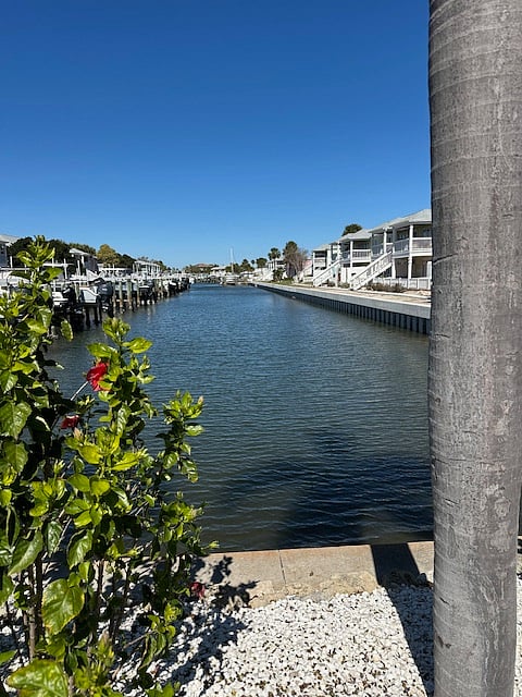 View of your canal leading to Tampa Bay. Dolphins fish here!
