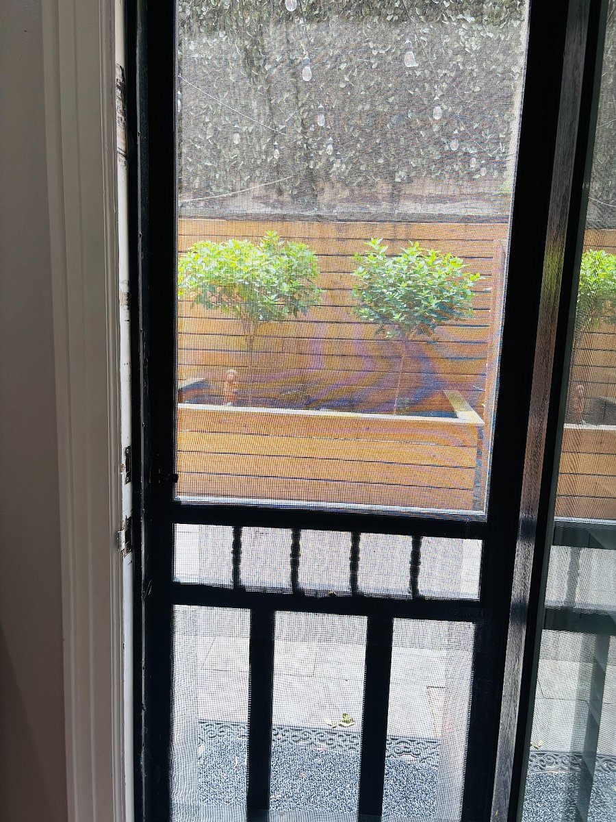View to yard