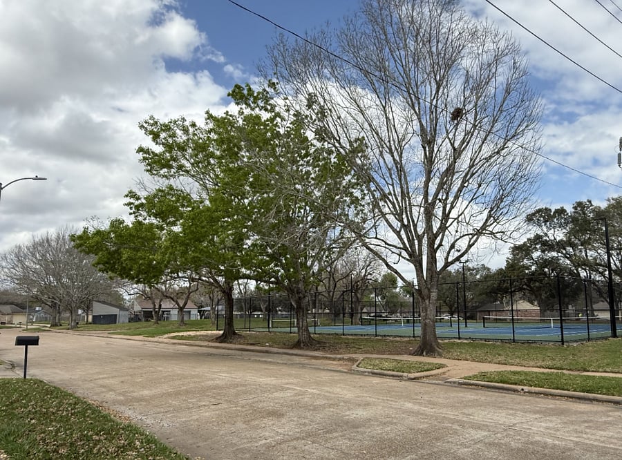 Established and peaceful residential neighborhood with tree-lined streets and nearby access to Oyster Creek Trail & Park for walking and green space.
